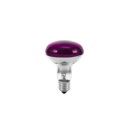 Halogén izzók - Omnilux - R80 230V/60W E-27 violet