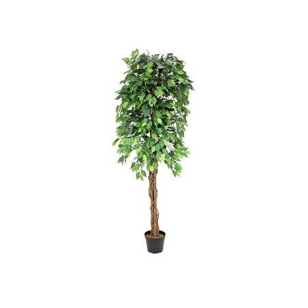 Party kellék - Europalms - Ficus Tree Multi-Trunk